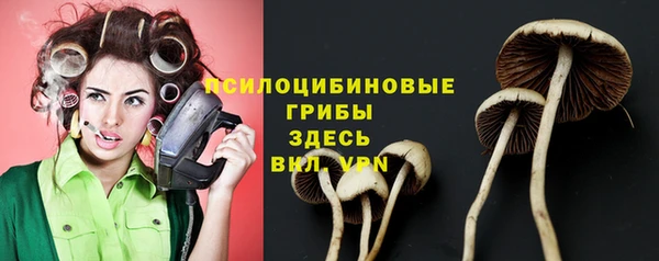 дмт Балахна