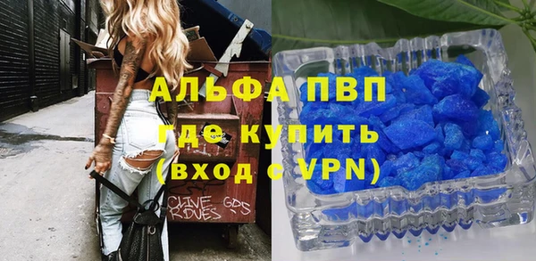 индика Балабаново