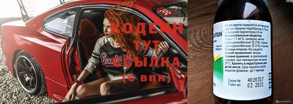 индика Балабаново