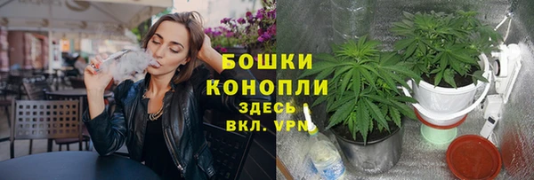 индика Балабаново