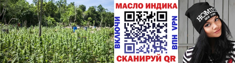 MEGA ССЫЛКА  цена   Шатура  ТГК THC oil 