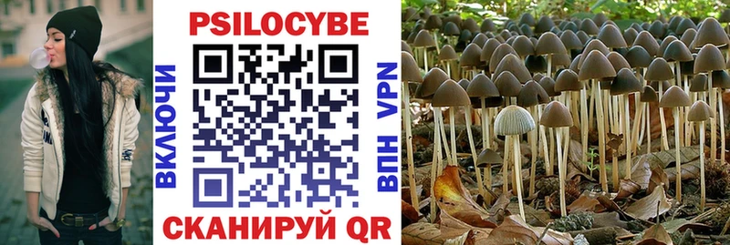 Галлюциногенные грибы прущие грибы Шатура