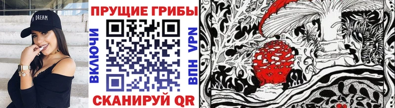 Псилоцибиновые грибы мицелий  дарнет шоп  Шатура 